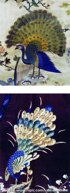刺绣孔雀设计图_中国传统文化元素_传统文化_文化艺术_设计图库